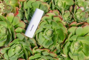 Read more about the article Does the Quality of Product Photos Really Matter?